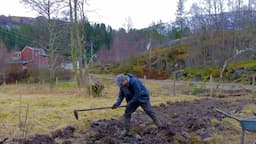 One Month on a Norwegian Farm | February