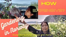 How to do gardening in Norway / know the cost and flowering plants