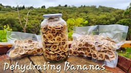 DEHYDRATING BANANAS - Make your own bananas chips that are actually good and healthy