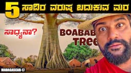 ಸಾವಿಲ್ಲದ ಮರಕ್ಕೆ ಒಂದು ಸಲಾಂ 🙏🫠 The tree that never dies,Boabab Trees of Madagascar ENG SUBS