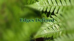 Quick Tip 474 - Edges Defined