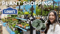 Lowe's Big Box Store Plant Shopping! Fully Stocked & New Plants!