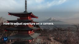 Understanding Aperture: a Photographer’s Guide | Adobe Photography Basics