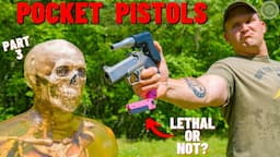 How Lethal Are Pocket Pistols ??? (Part 3)