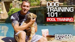 Dog Training 101: Pool Training | Brandon McMillan