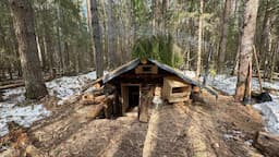 MY LOG CABIN UNDERGROUND SURVIVED THE SPRING FLOOD! I VISITED COZY SHELTER IN THE WILD FOREST