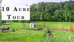 From City Life to Self-Sufficiency: A Homestead Tour