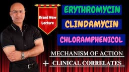 Clindamycin | Erythromycin | Chloramphenicol | MOA & Clinical Correlations🩺