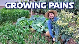 My Flowering Broccoli And Monster Cabbages | Garden Reset