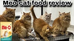 Meo persian cat food review