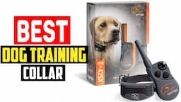 ✅Best Dog Training Collar in 2023