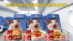 CAT MEMES Roadtrip Compilation