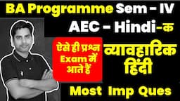 व्यावहारिक हिंदी One Shot video most inportant questions BA Programme semester 4 SOL DU