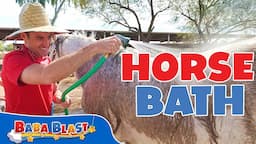 Learn How to Give a Bubble Bath  to a Horse | Learning  Videos for Kids | Baba Blast!