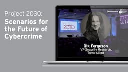 Project 2030: Scenarios for the Future of Cybercrime