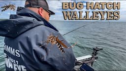 How to catch walleyes during an early-season bug hatch