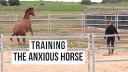 Training A Horse When Its Anxious