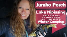 Winter Camping on Lake Nipissing. Catching Jumbo Perch!