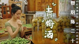 Green Plum Wine/Chicken Barbecue | 烤點雞雜串，再喝杯一年前釀的青梅酒！ | Summer Kitchen•夏廚陳二十【319】