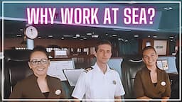 15 Surprising Benefits of Working on a Cruise Ship