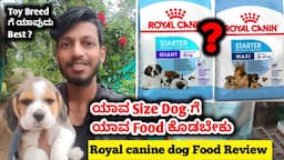 Royal canine Dog Food review | ಯಾವ Size Dog ಗೆ ಯಾವ Food ಕೊಡಬೇಕು | Toy Breed ಗೆ ಯಾವುದು Best ?