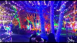 I EXPERIENCED CALIFORNIA'S largest CHRISTMAS LIGHT WONDERLAND! 🎄 Holiday Light Display at CALM! 🌟"