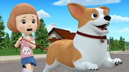 POLI and the Dog│POLI Special Episodes│Buddy is a Troublemaker│A Puppy Dog│Robocar POLI TV