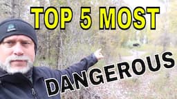 TOP 5 MOST DANGEROUS ANIMALS  that you need to be aware of while HIKING !!!