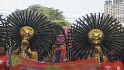 Best Costumes in Trinidad Mas - Children Carnival