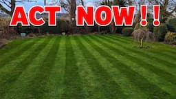 If you want a good lawn this spring do this NOW