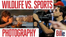 WILDLIFE Vs. SPORTS PHOTOGRAPHY