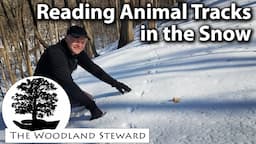 Reading Animal Tracks in the Snow – February 7, 2022