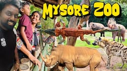 Crocodile BBQ at Mysore Zoo 🤣 சும்மா சில்லு சில்லு சில்லுனு