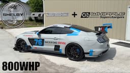 This 800whp GT350 Makes Me Want To Buy A Mustang! (Whipple Supercharged)