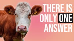 Everything you need to know about VEGANISM | Animal rights & ethics of veganism explained.