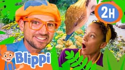 Blippi and Meekah's Scientific Scavenger Hunt | BEST OF BLIPPI TOYS | Educational Videos for Kids