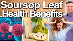 SOURSOP LEAF EVERY DAY! - Best Ways To Take, Uses, Side Effects And Contraindications