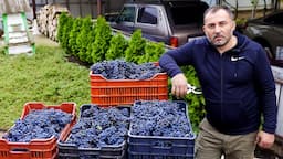 Homemade Wine from homemade Grapes | Food and Drinks by GEORGY KAVKAZ