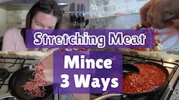 Family Meals that Stretch - 3 Meals from Only 1 Package of Mince!