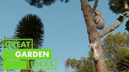 Mediterranean Garden Walkaround | GARDEN | Great Home Ideas