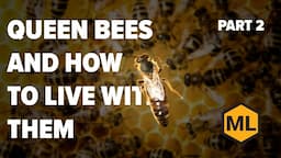 Queen Bees and How to Live with Them (Part 2): A Class by Dr. Larry Connor