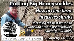 Clearing Big Bush Honeysuckles and Other Invasive Shrubs Using a Chainsaw – January 14, 2022