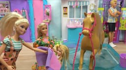 Barbie and Ken Vet Emergency Story with Barbie’s Pony and Barbie Sister Chelsea Get New Puppy