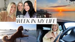 week in my life in tampa: going to my fav spots, hanging w sydney adams, silly little errands