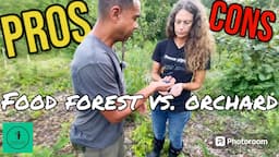 Food Forest or Permaculture Orchard? IT DEPENDS!