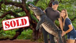 WE BOUGHT OUR DREAM PROPERTY TO START AN ALLIGATOR SANCTUARY!