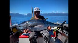 Monster Blue Fin Fishing in Milford Sounds - The Ultimate 3 day Adventure!