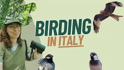 Birding in the most unknown region of Italy