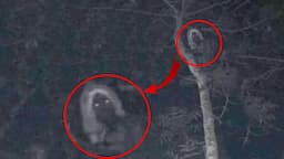 5 SCARY CREATURES CAUGHT ON CAMERA