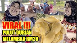 VIRAL!!! DURIAN MELAMBAK RM20, LAGUNA MERBOK SG PETANI, DURIAN KAHWIN IOI, MUSANG, BLACK, KING FRUIT